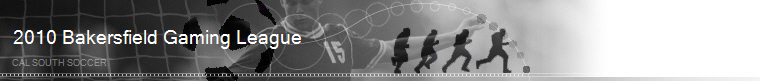 2010 Bakersfield Gaming League banner
